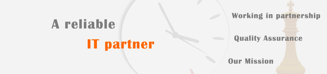 IT Partner